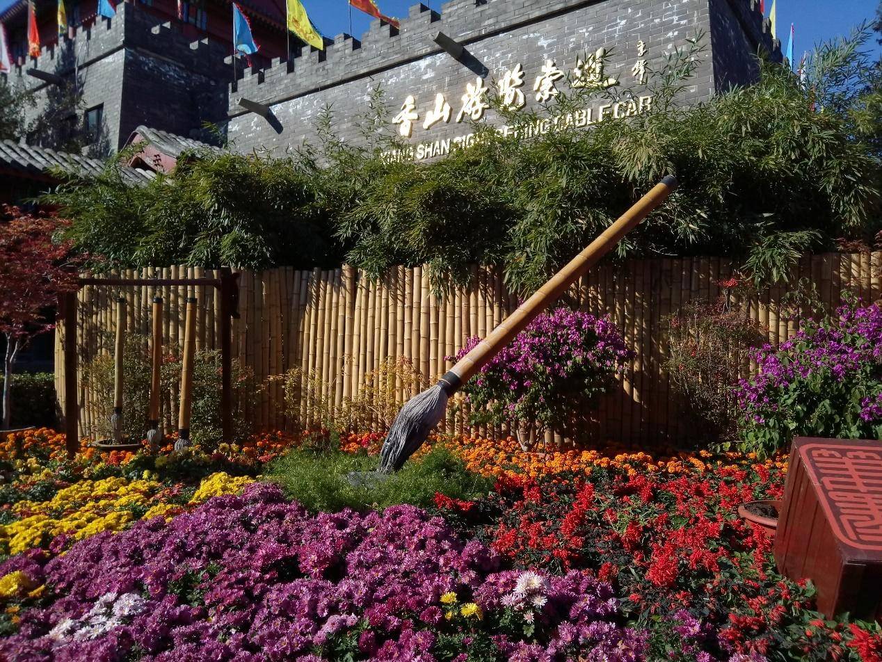 百元电动小钢炮,百元小屏小钢炮