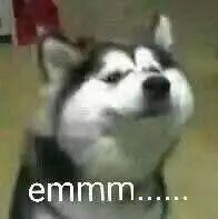 妈蛋!我居然也被坑了