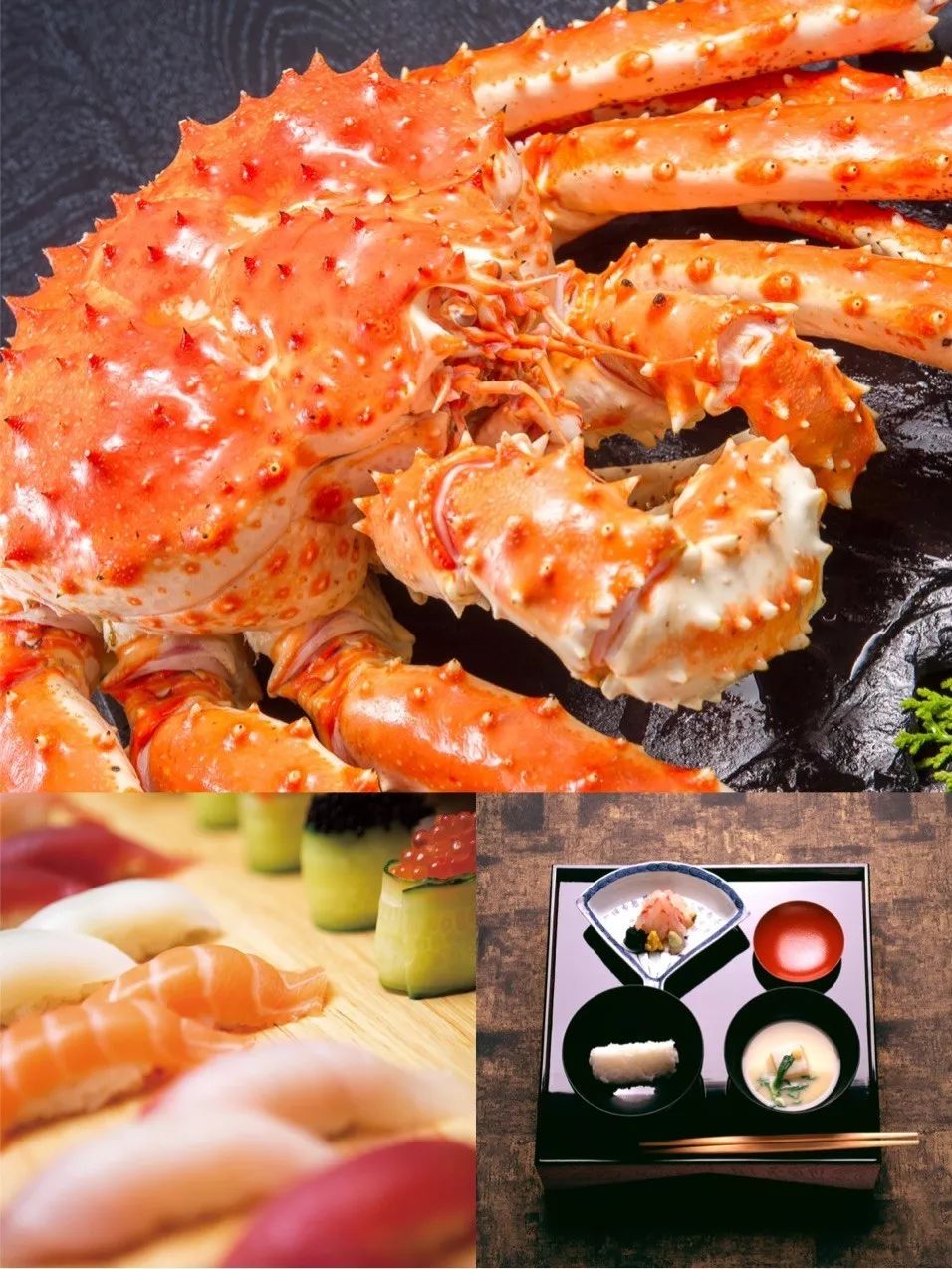 全家出游哪种旅行方式最合适,全家游怎么样游好