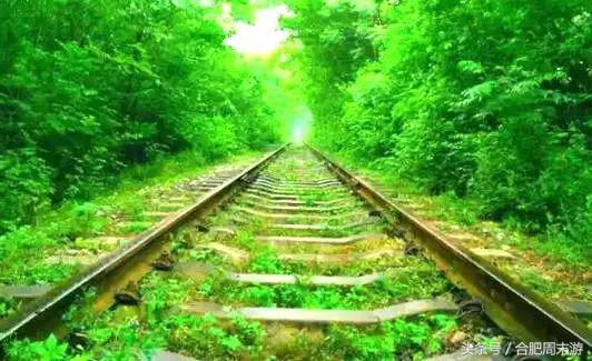 2022浜斾竴鍚堣偉鍏嶈垂鏅尯,鍚堣偉鍏嶈垂鐜╂櫙鍖哄叏鍚嶅崟