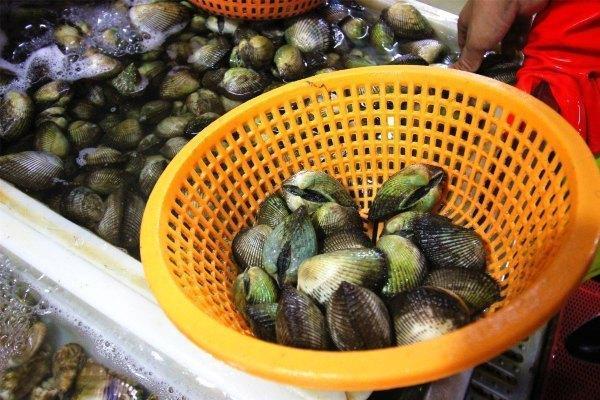 带上兜兜去旅游,带着小嘟嘟去旅游