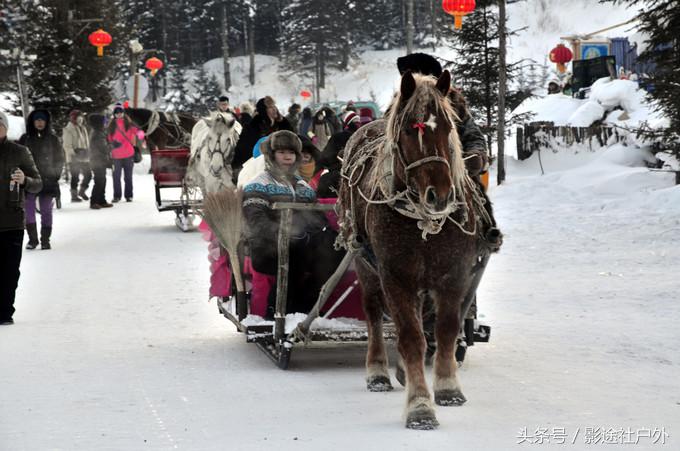哈尔滨雾凇岛一日游,哈尔滨雪乡雾凇岛攻略