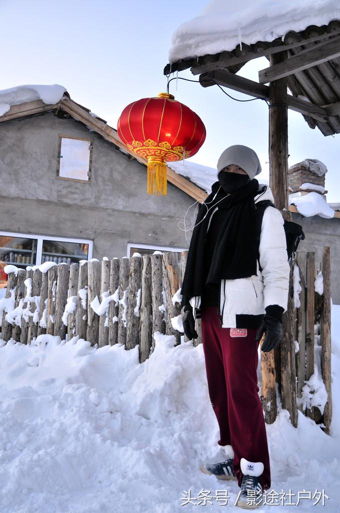 哈尔滨雾凇岛一日游,哈尔滨雪乡雾凇岛攻略