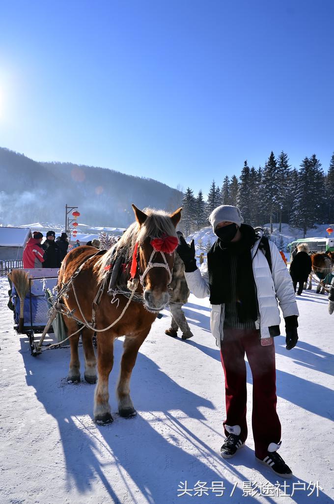 哈尔滨雾凇岛一日游,哈尔滨雪乡雾凇岛攻略
