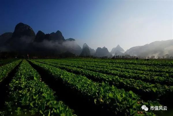 智慧农业股票最新分析,智慧农业股票是否亏损