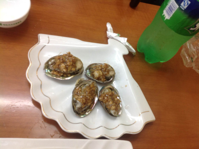 花果山游记400字以上,连云港花果山攻略