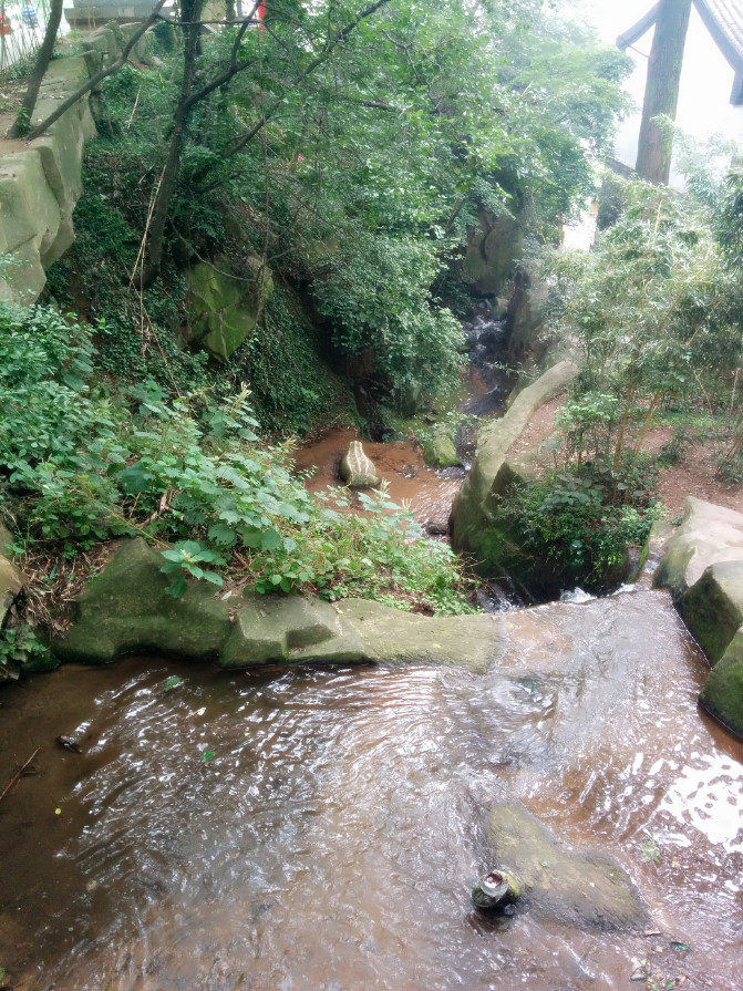 花果山游记400字以上,连云港花果山攻略