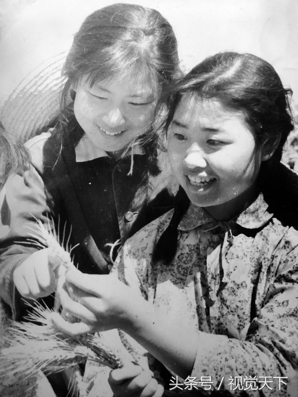 81岁老人拍摄视频,70岁老人生活纪录片视频