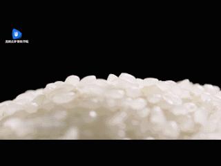 嘉和一品粥与嘉和一品的区别,嘉和一品冰粥外卖