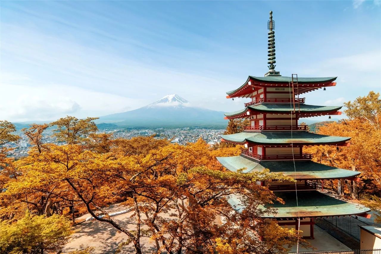 全家出游哪种旅行方式最合适,全家游怎么样游好