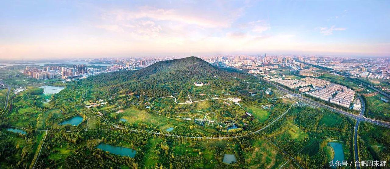 2022浜斾竴鍚堣偉鍏嶈垂鏅尯,鍚堣偉鍏嶈垂鐜╂櫙鍖哄叏鍚嶅崟