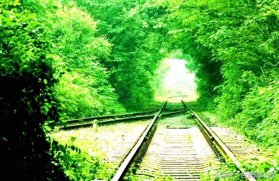 2022浜斾竴鍚堣偉鍏嶈垂鏅尯,鍚堣偉鍏嶈垂鐜╂櫙鍖哄叏鍚嶅崟