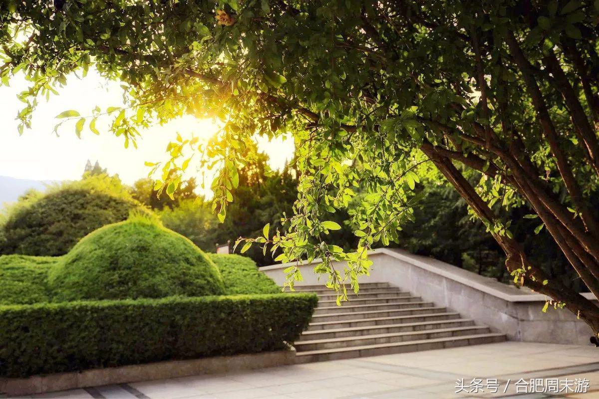 2022浜斾竴鍚堣偉鍏嶈垂鏅尯,鍚堣偉鍏嶈垂鐜╂櫙鍖哄叏鍚嶅崟