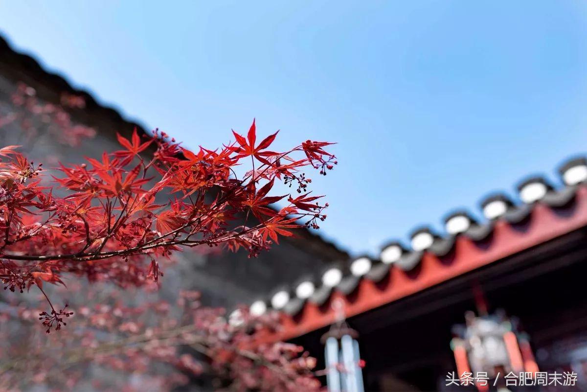 2022浜斾竴鍚堣偉鍏嶈垂鏅尯,鍚堣偉鍏嶈垂鐜╂櫙鍖哄叏鍚嶅崟