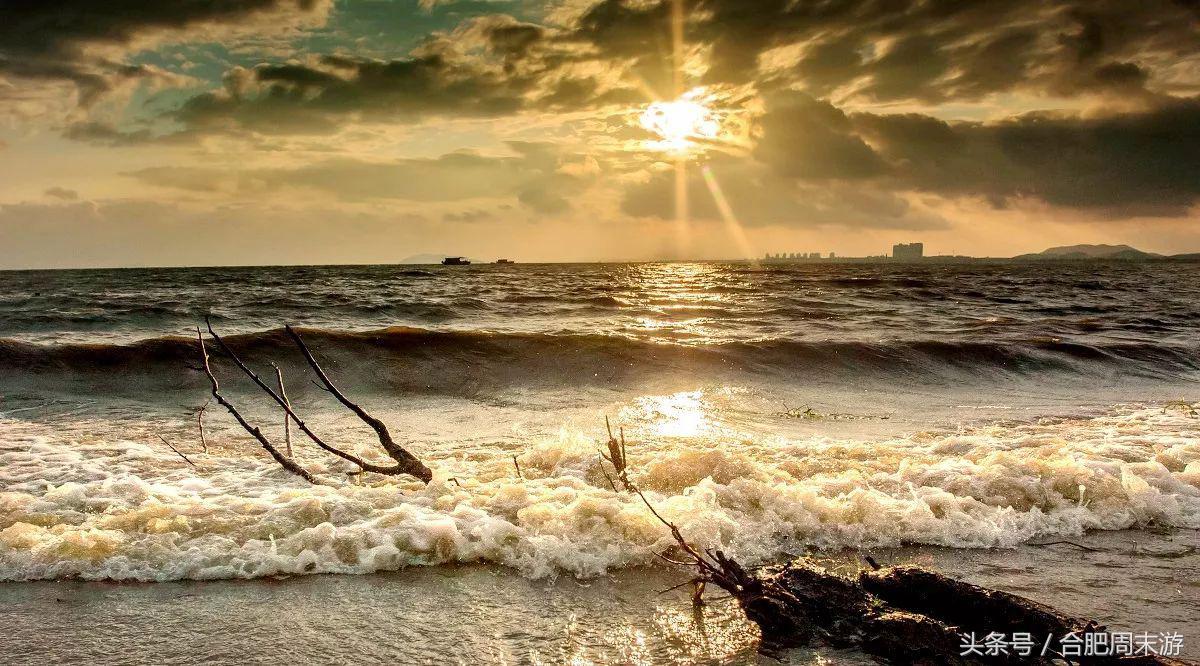 2022浜斾竴鍚堣偉鍏嶈垂鏅尯,鍚堣偉鍏嶈垂鐜╂櫙鍖哄叏鍚嶅崟