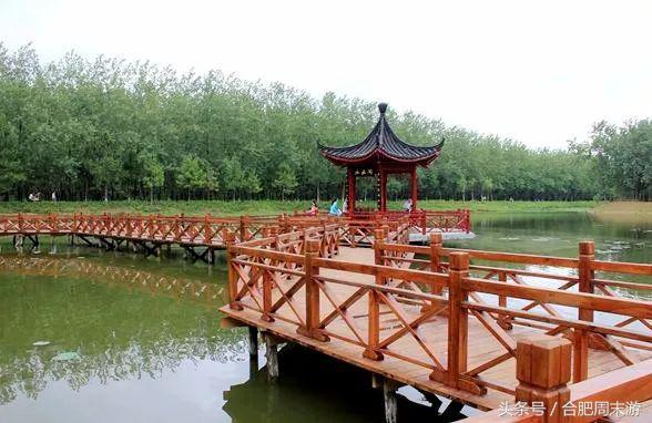 2022浜斾竴鍚堣偉鍏嶈垂鏅尯,鍚堣偉鍏嶈垂鐜╂櫙鍖哄叏鍚嶅崟