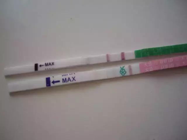 找到排卵期的正确方法！造人一发就中！