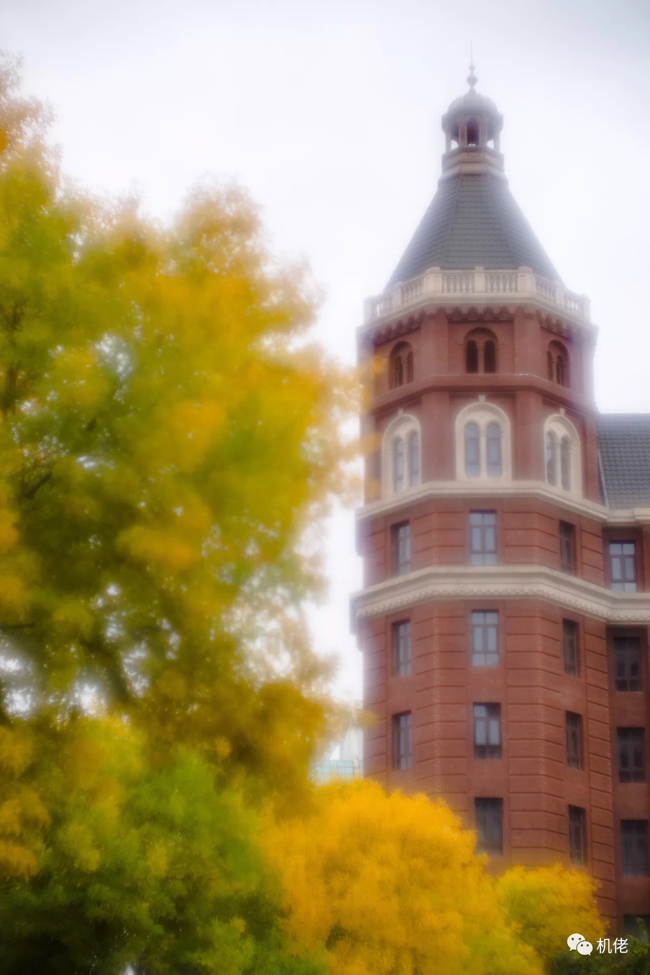 徕卡最顶级的m90镜头,徕卡90镜头展示