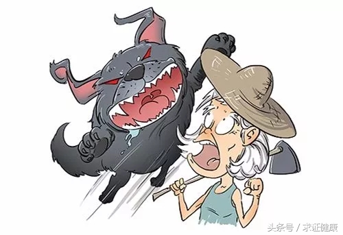 打了疫苗一定不死吗,打了疫苗就不得犬瘟吗