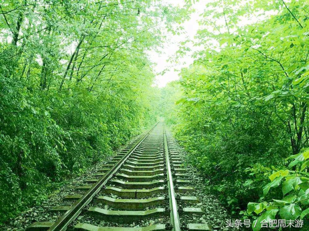 2022浜斾竴鍚堣偉鍏嶈垂鏅尯,鍚堣偉鍏嶈垂鐜╂櫙鍖哄叏鍚嶅崟