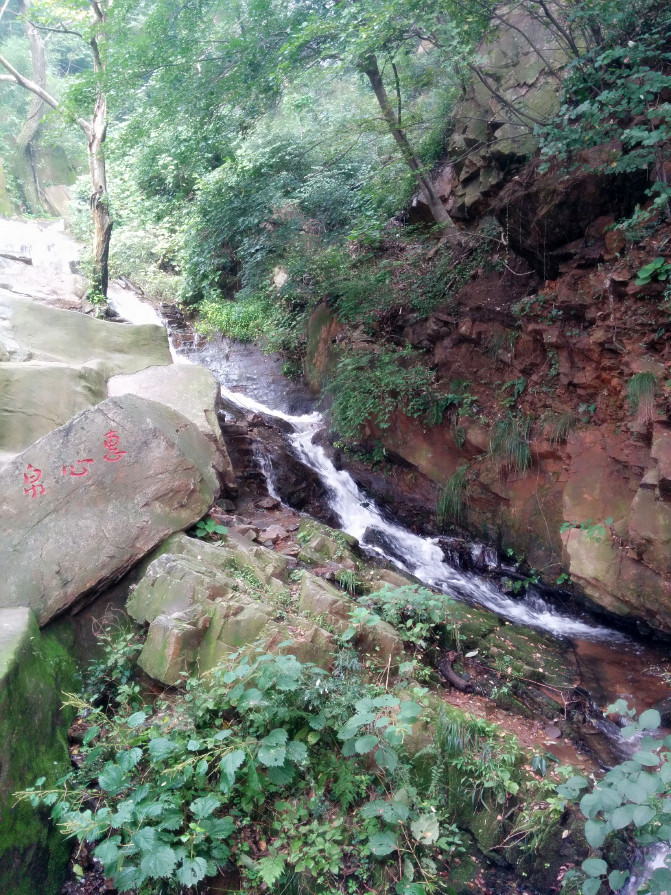 花果山游记400字以上,连云港花果山攻略