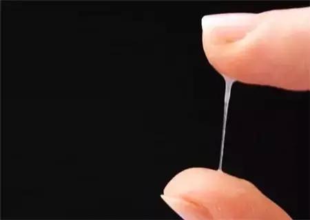 找到排卵期的正确方法！造人一发就中！