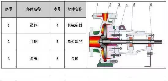 小型氧气泵内部结构图,泵内部照片