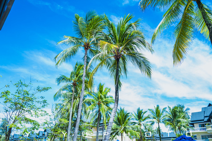 「那片蔚蓝，是我的海」恋上普吉