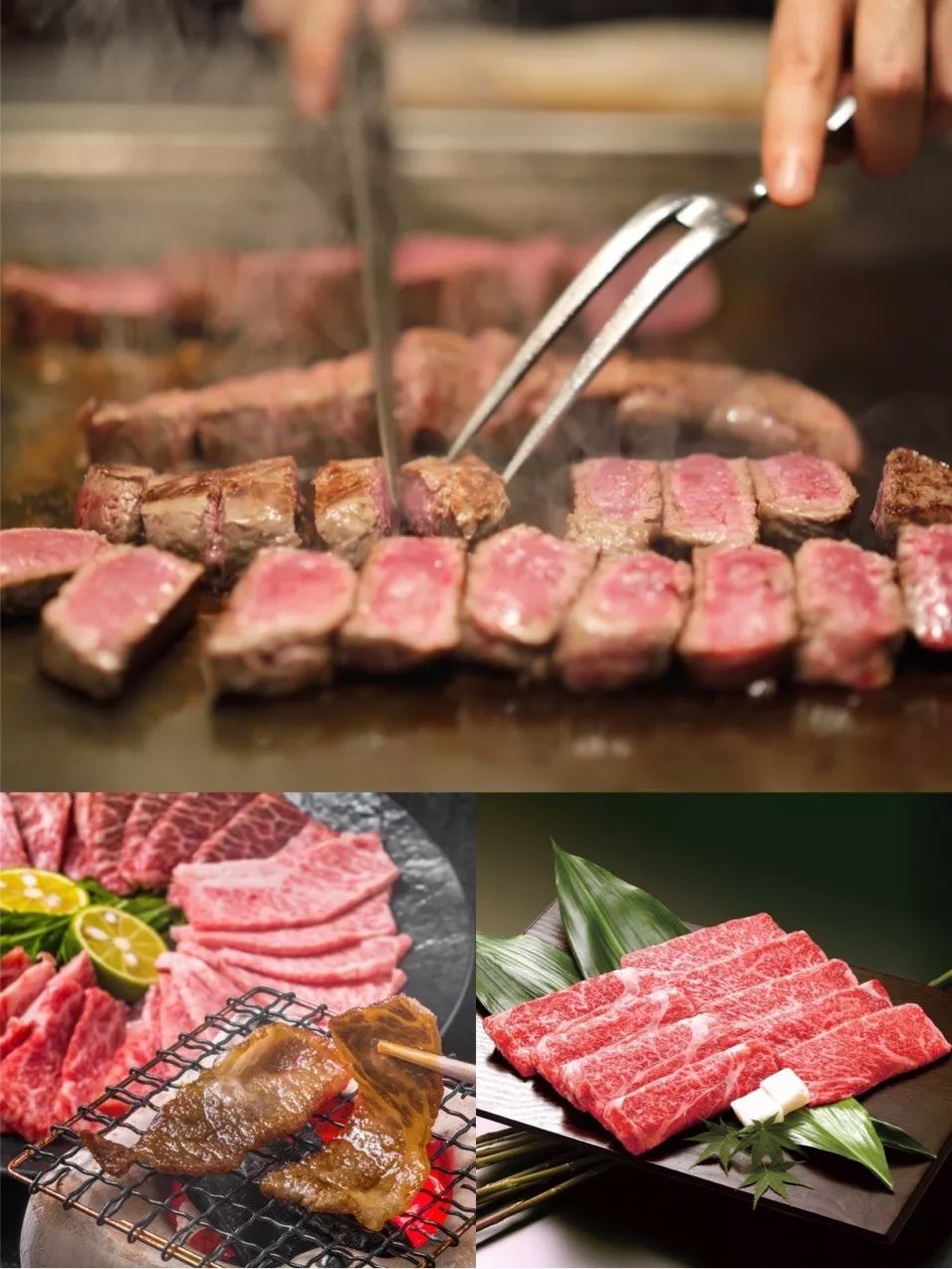 全家出游哪种旅行方式最合适,全家游怎么样游好