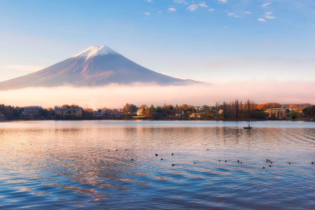 全家出游哪种旅行方式最合适,全家游怎么样游好