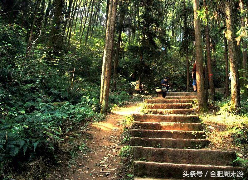 2022浜斾竴鍚堣偉鍏嶈垂鏅尯,鍚堣偉鍏嶈垂鐜╂櫙鍖哄叏鍚嶅崟