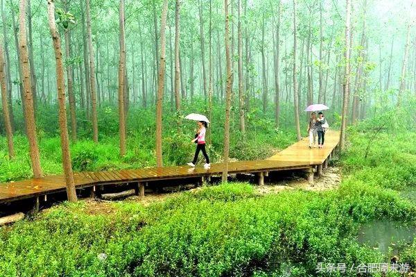 2022浜斾竴鍚堣偉鍏嶈垂鏅尯,鍚堣偉鍏嶈垂鐜╂櫙鍖哄叏鍚嶅崟