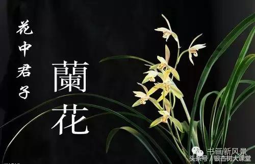 赞美兰花的诗整首,十首最经典兰花诗