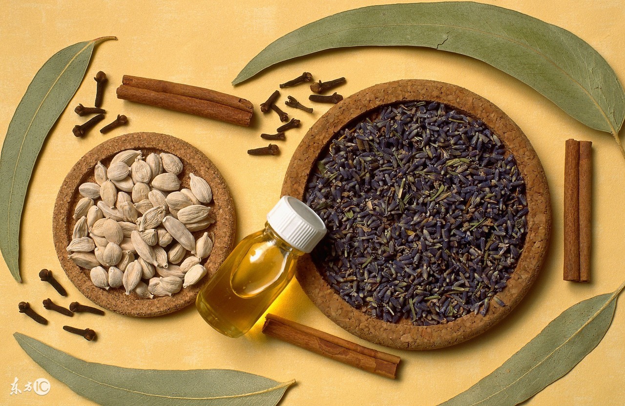 简单几招,轻轻松松与腰部“游泳圈”说拜拜