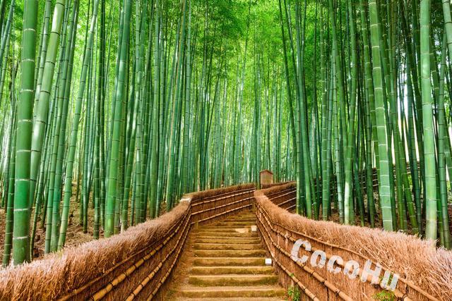 快乐跳岛皇家游轮上的悠长假期