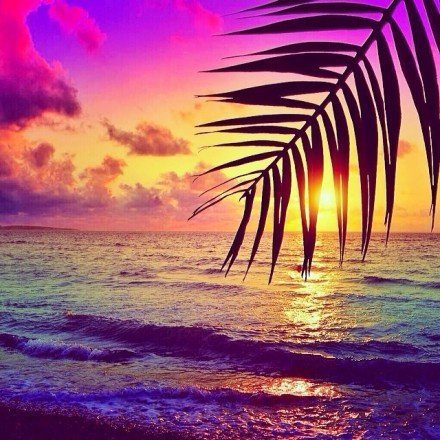 发朋友圈早安语录励志正能量,早安心语适合发朋友圈正能量短句