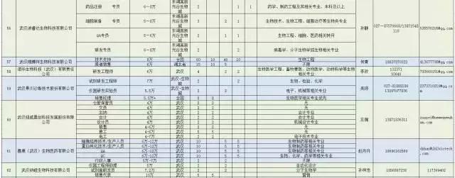 诚意！武汉为留汉大学生准备3万多个高薪就业岗位