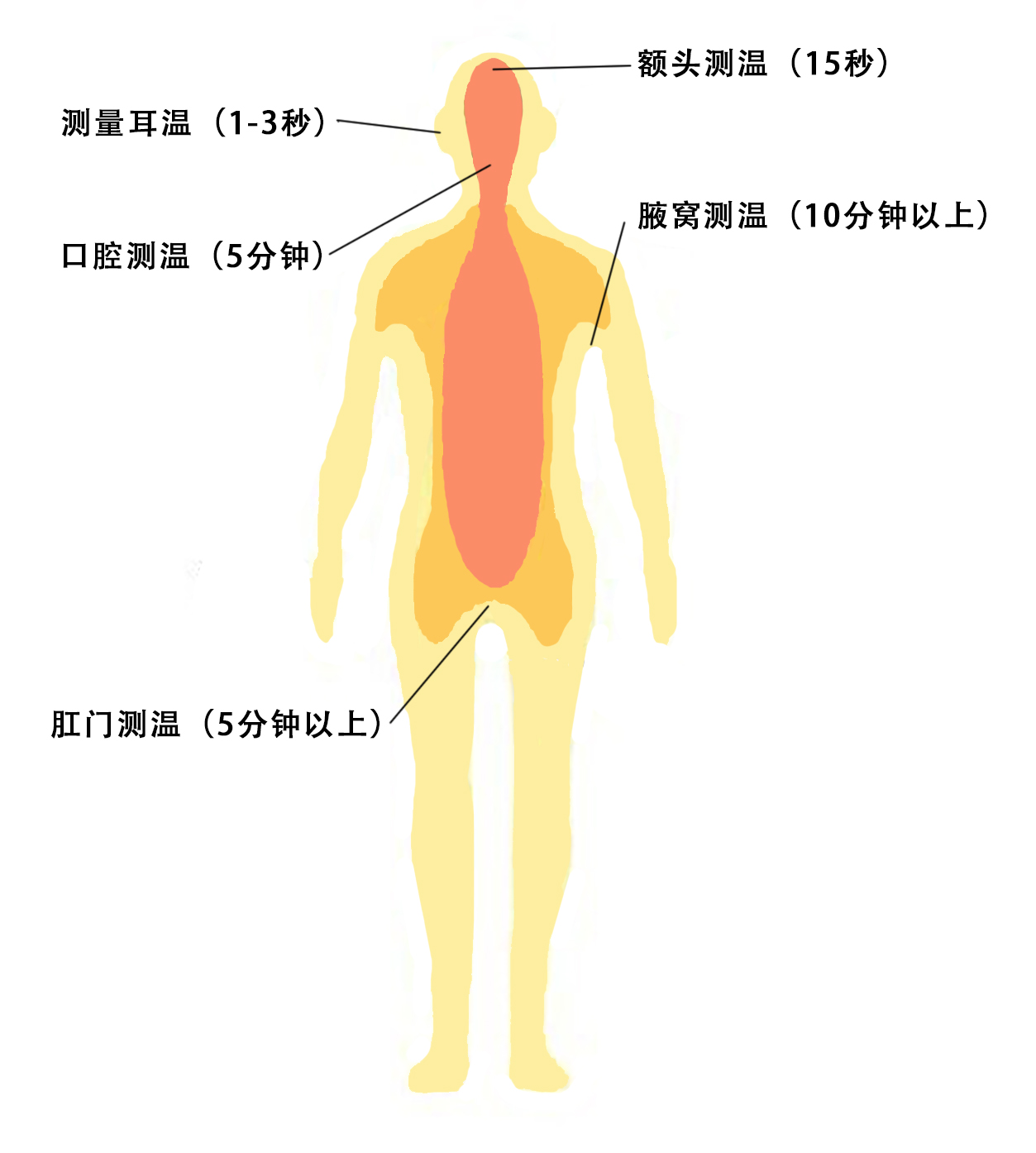 怎么测试小孩的体温,测量孩子体温的正确方法