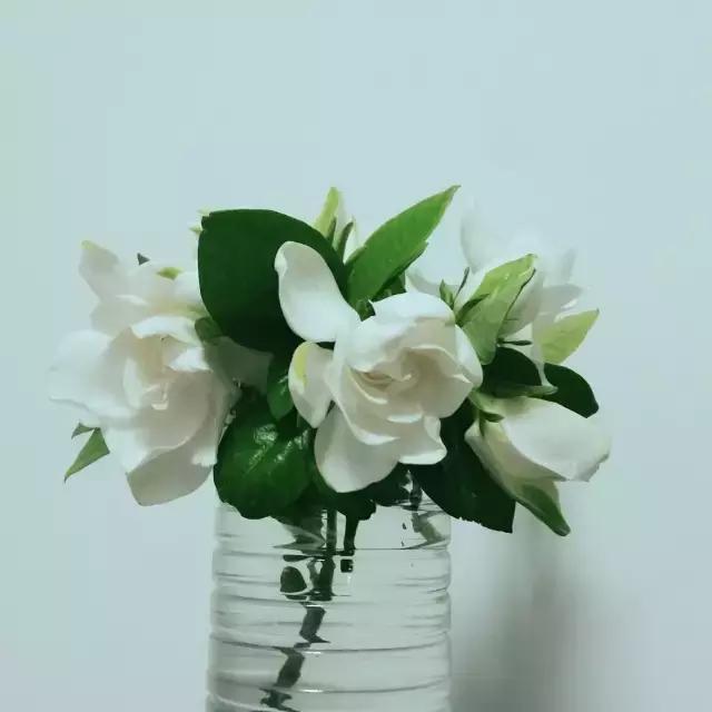 浜旀湀鍏棩濡傜害鑰岃嚦,浜旀湀鍏湀璇楁剰