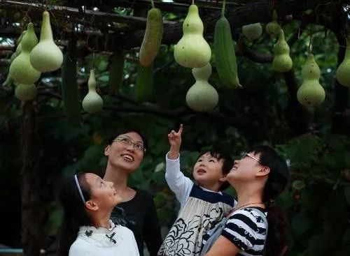 生活故事大全视频,生活故事大全