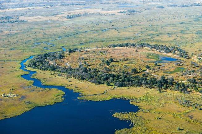 湿地和湿地动物,国外最大的湿地有什么动物