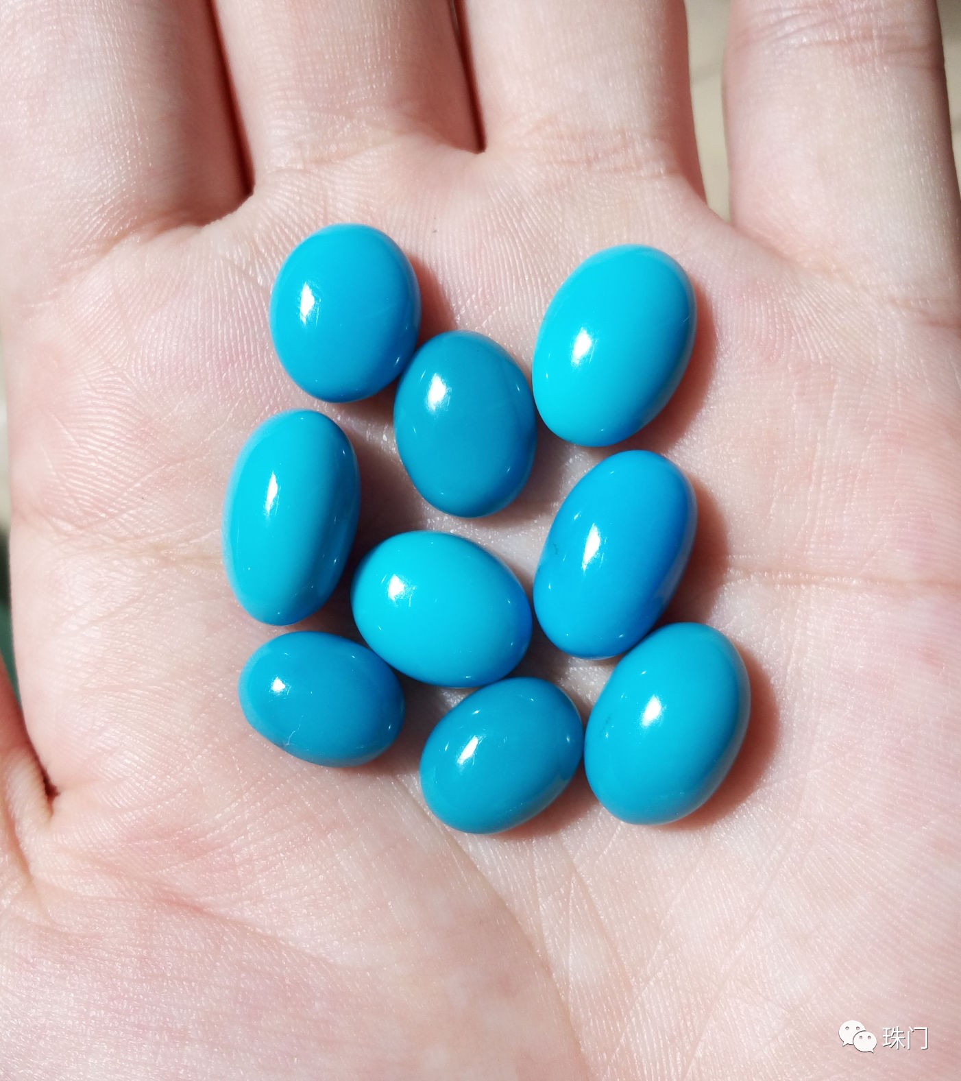 美国绿松石睡美人会玉化吗,美国绿松石睡美人无优化