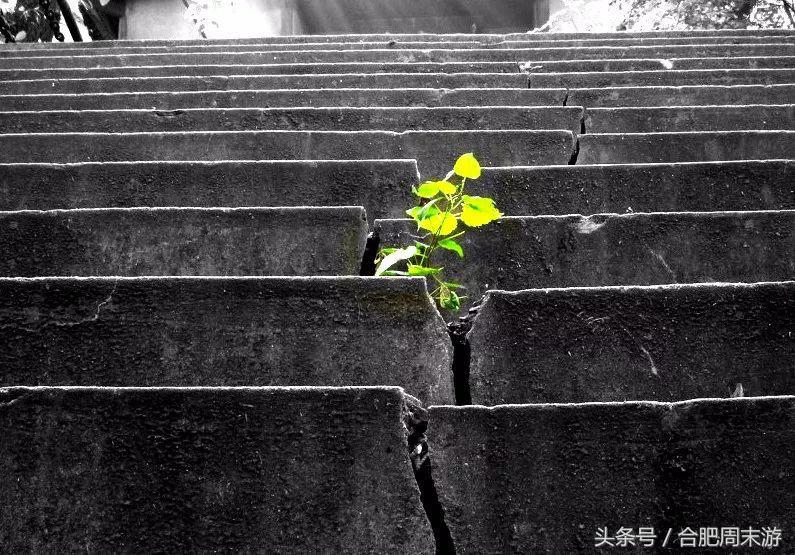 2022浜斾竴鍚堣偉鍏嶈垂鏅尯,鍚堣偉鍏嶈垂鐜╂櫙鍖哄叏鍚嶅崟