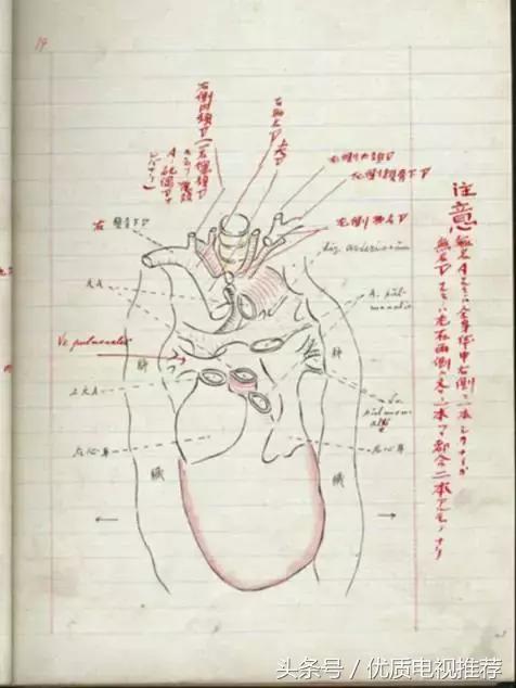 吴真讲历史视频,吴真作品