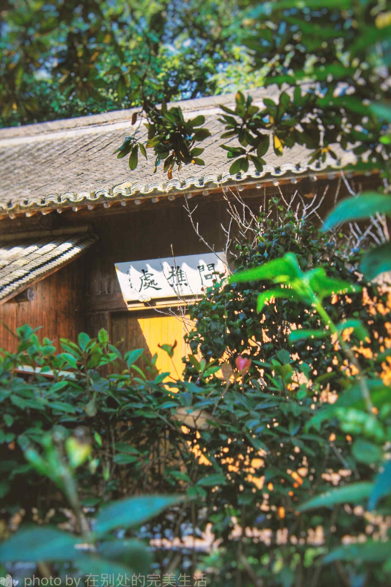 罗莱夏朵杭州紫萱度假村招聘,罗莱夏朵杭州紫萱度假村团购