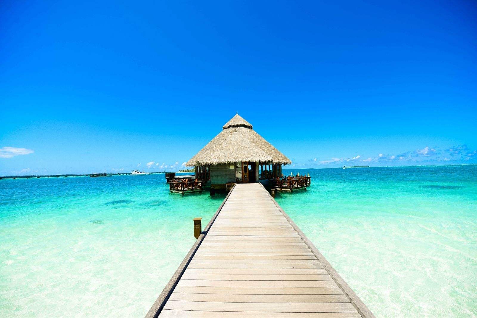 海岛自由行选岛攻略,如何玩转海岛奇兵