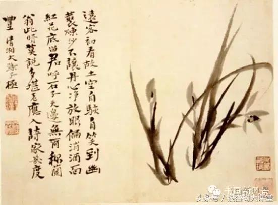 赞美兰花的诗整首,十首最经典兰花诗