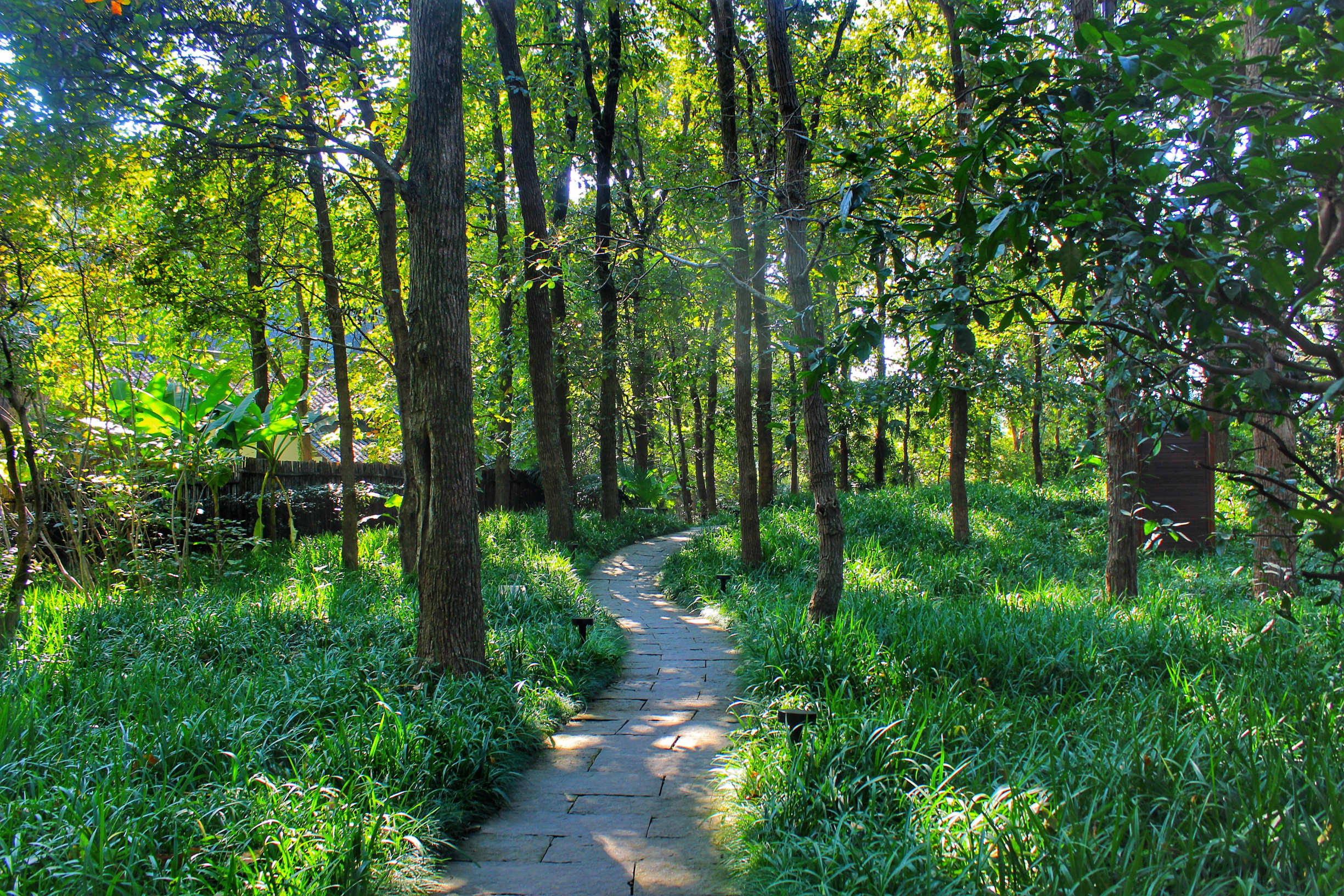 罗莱夏朵杭州紫萱度假村招聘,罗莱夏朵杭州紫萱度假村团购