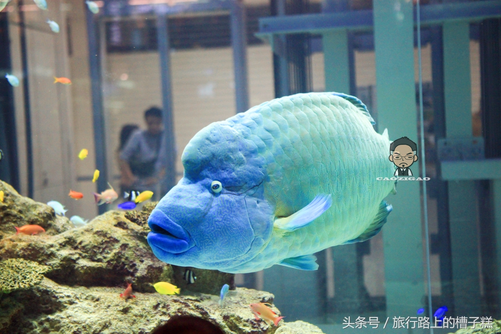 永旺梦乐城全国多少家,全亚洲最大的永旺梦乐城在哪里