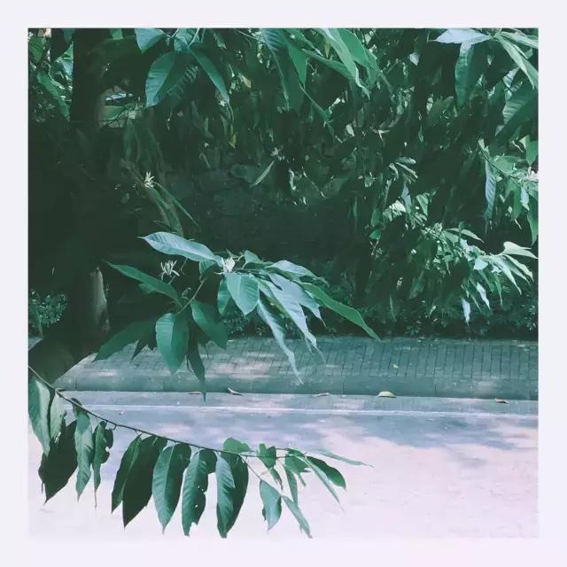 浜旀湀鍏棩濡傜害鑰岃嚦,浜旀湀鍏湀璇楁剰